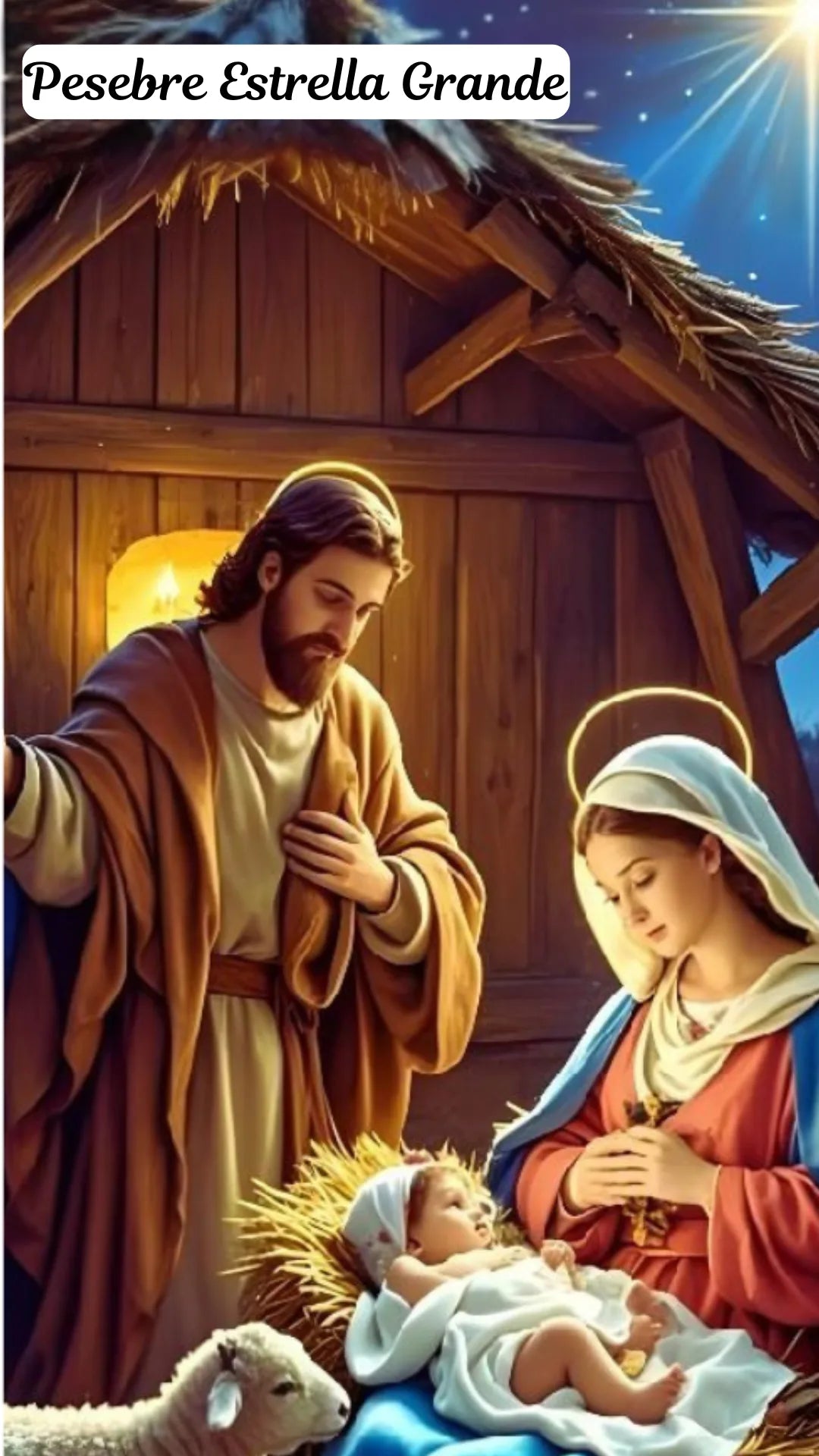 Fundas Navideñas de Alta Resolución