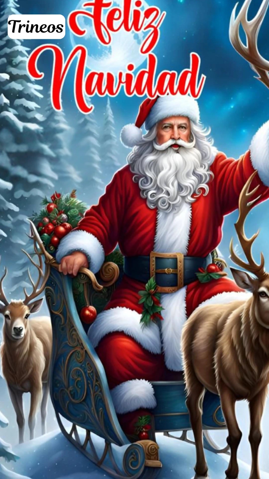 Fundas Navideñas de Alta Resolución