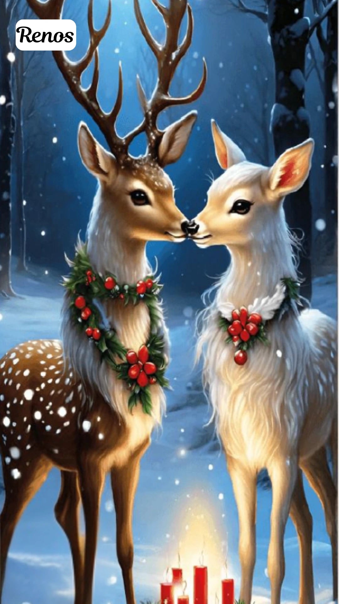 Fundas Navideñas de Alta Resolución